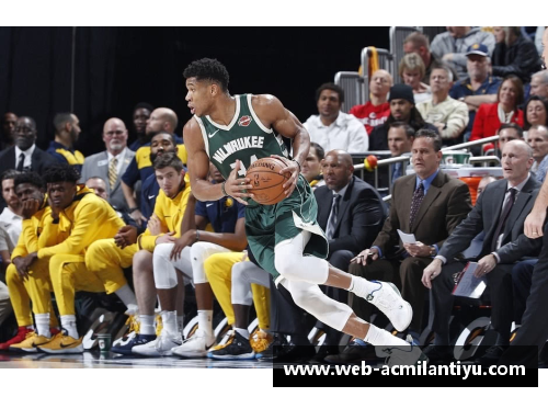 NBA投资攻略：如何在篮球联盟中获得长期稳定的回报
