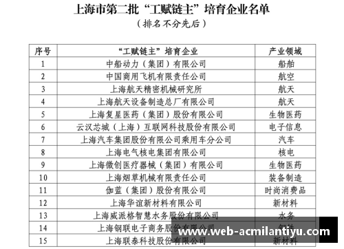 欧盟拟定碳边境税细则，首批涵盖钢铁和铝等行业