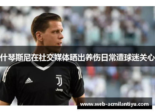 什琴斯尼在社交媒体晒出养伤日常遭球迷关心
